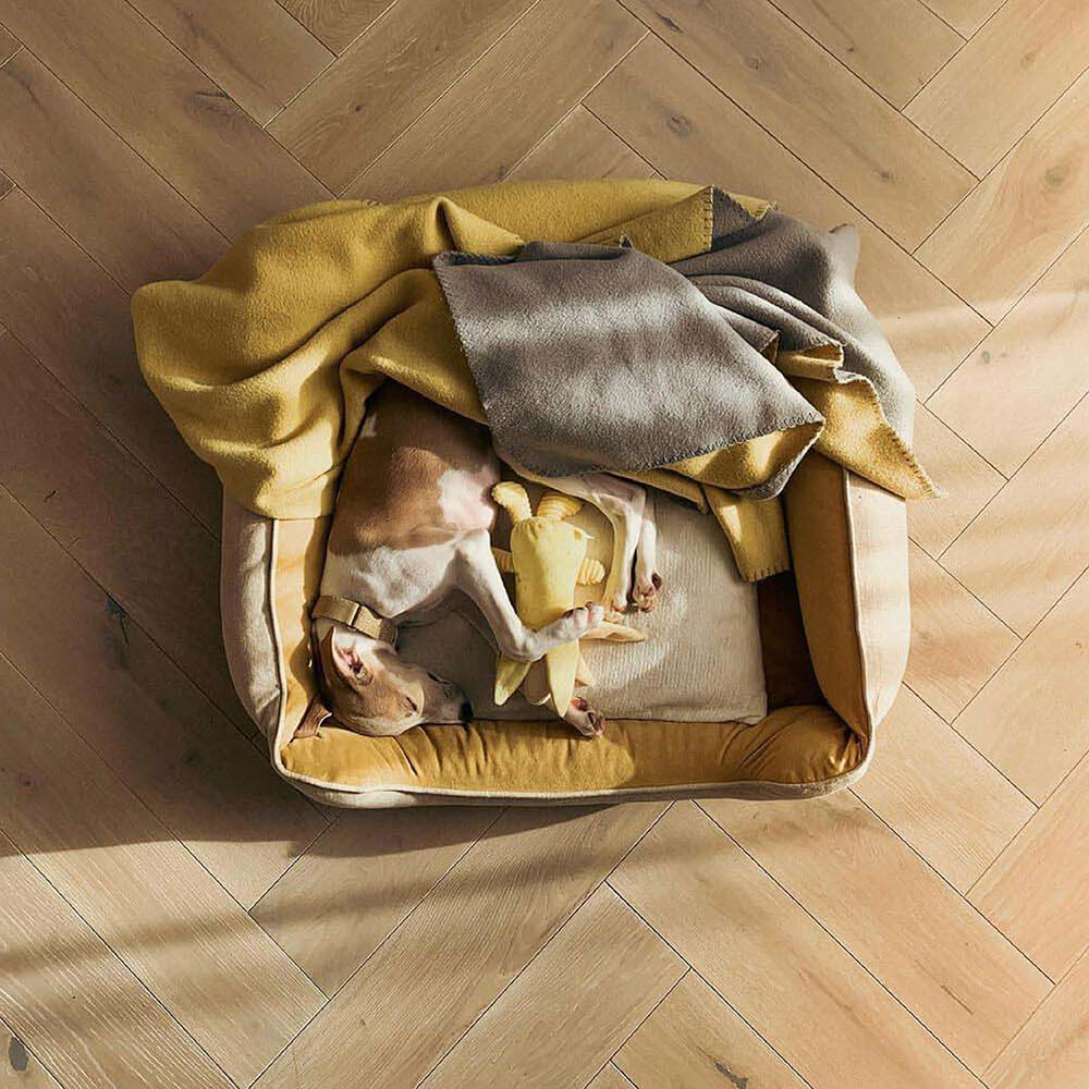 Empty plush square bread dog bed, ready for a small or medium pet.