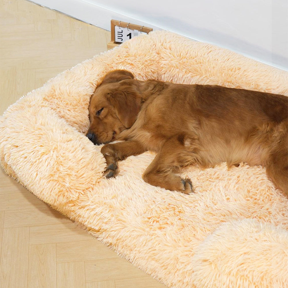 Cozy deep sleep dog bed, square and plush, perfect for a dog's comfortable rest