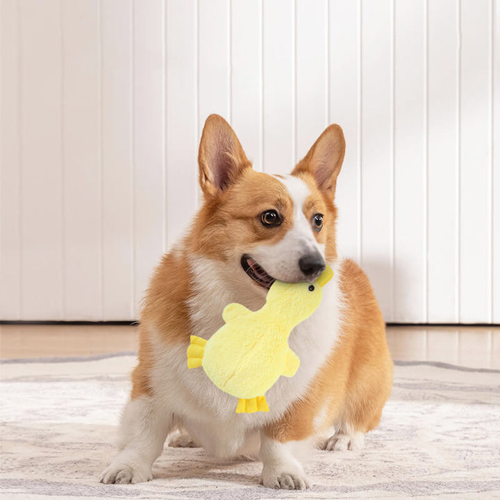 Interactive dog chew toy set with rope pull for dental health & pet engagement
