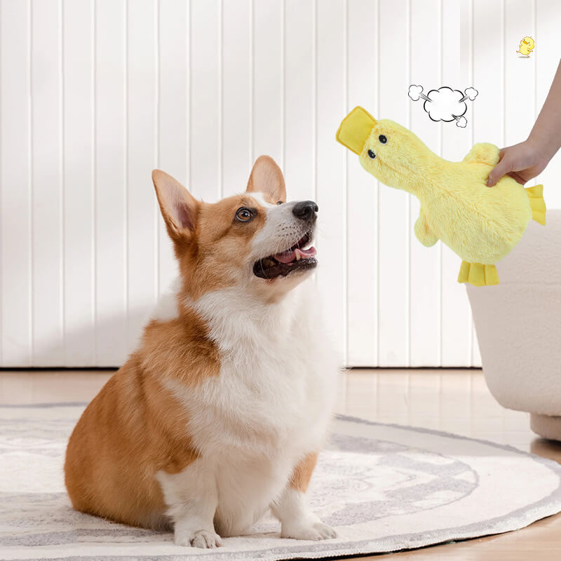 Unisex dog toy variety pack with plush and rope toys for all dogs, durable pet supplies