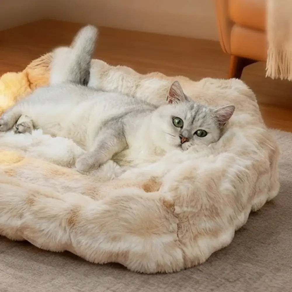 Close-up of the soft velvet fabric on a plush pet sofa bed, ideal for cats and small dogs