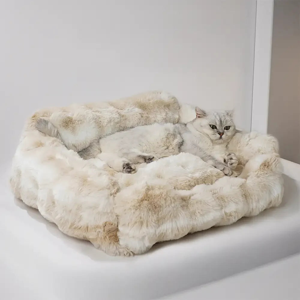 Washable cat bed made from plush velvet, designed as a cozy sofa for ultimate pet comfort