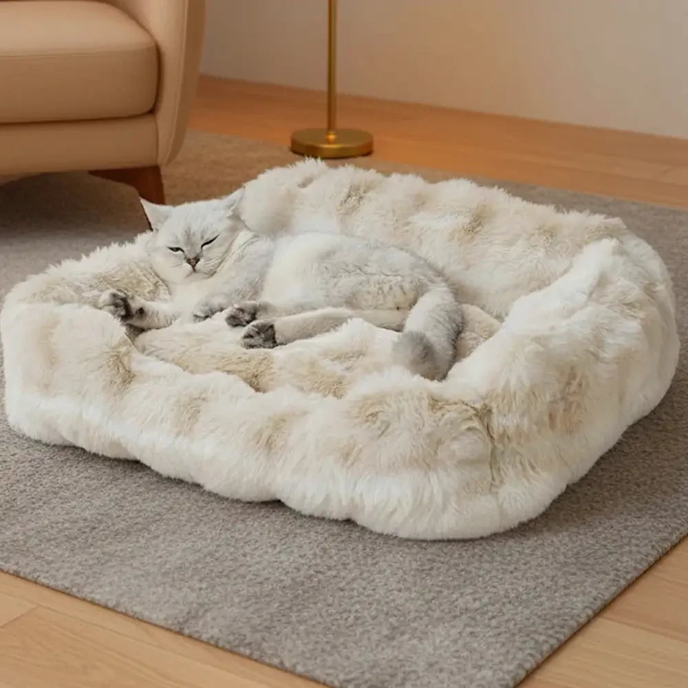 Cozy pet bed for cats and dogs, featuring luxurious washable plush velvet and a sofa design