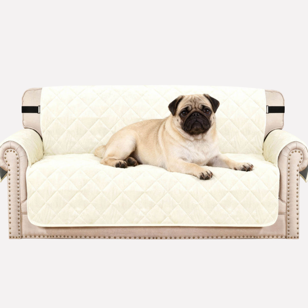 Plush velvet waterproof sofa cover with non-slip backing in a living room, protecting furniture from pets.