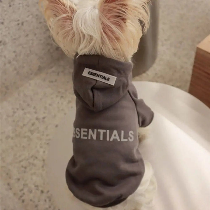 Warm winter pet hoodie, plush dog sweater for ultimate comfort and cold protection.