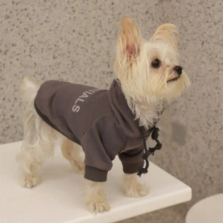 Pet dog hoodie, plush material, warm winter sweater for canine fashion and warmth.