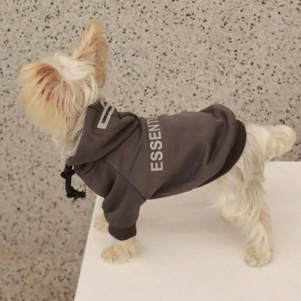 Soft plush dog hoodie, winter pet sweater designed for warmth and style in cold seasons.