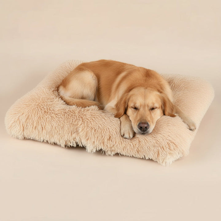 Close-up of a soft, washable plush dog mat, ideal comfort pet bed for crates and floors
