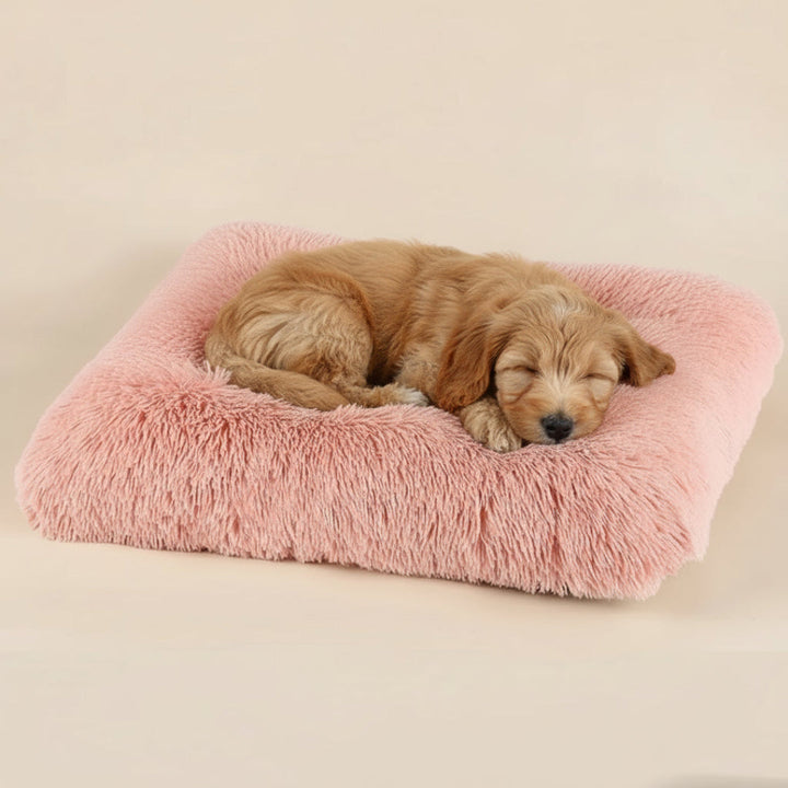 Light gray washable plush dog mat, a comfortable pet sleeping pad and crate cushion accessory