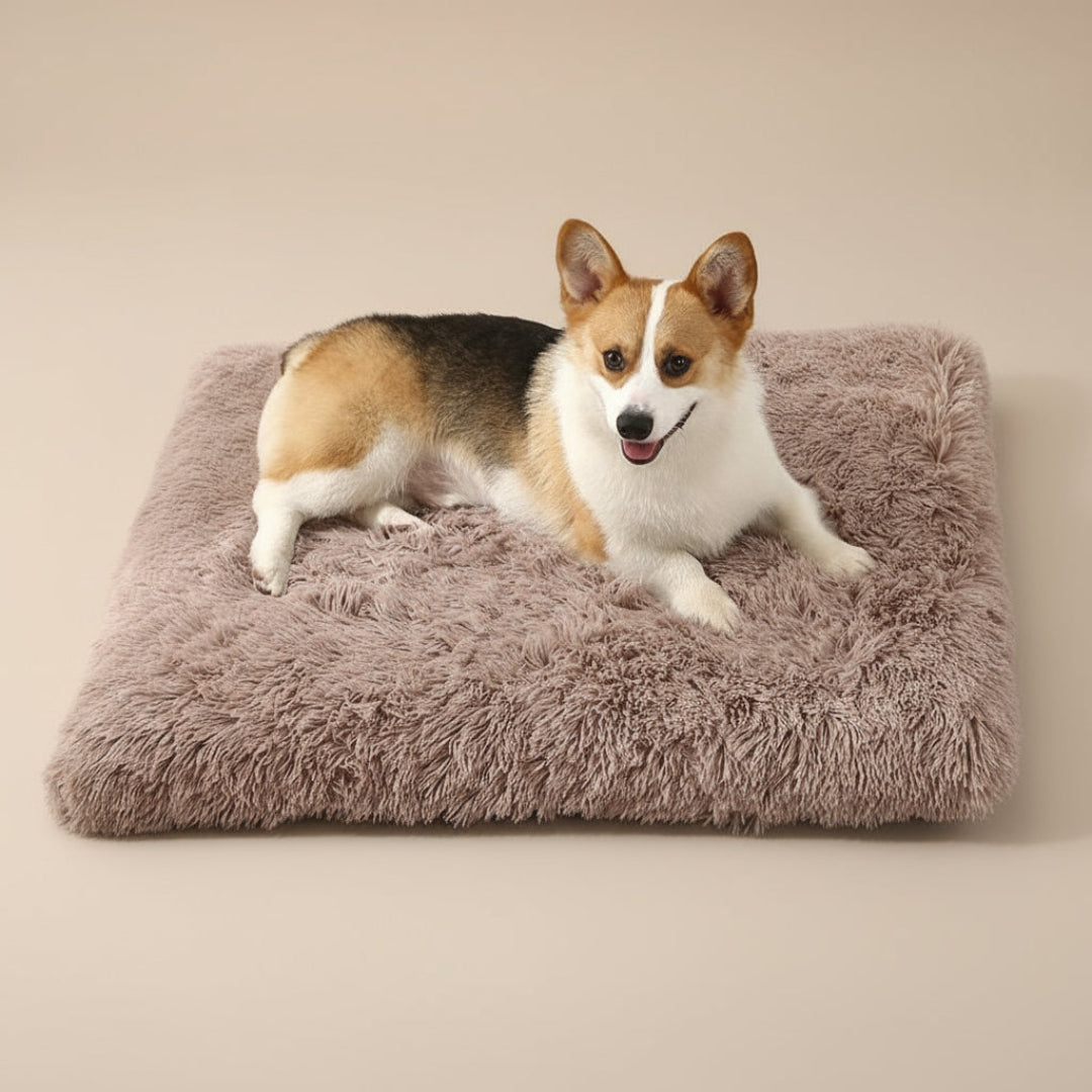 Dog enjoying a deep sleep on a soft washable plush pet mat, ultimate comfort for crates or home