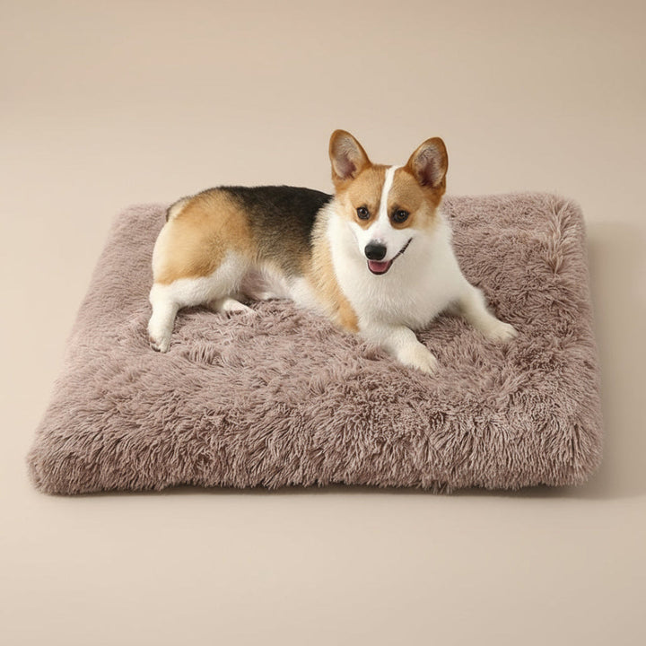 Dog enjoying a deep sleep on a soft washable plush pet mat, ultimate comfort for crates or home