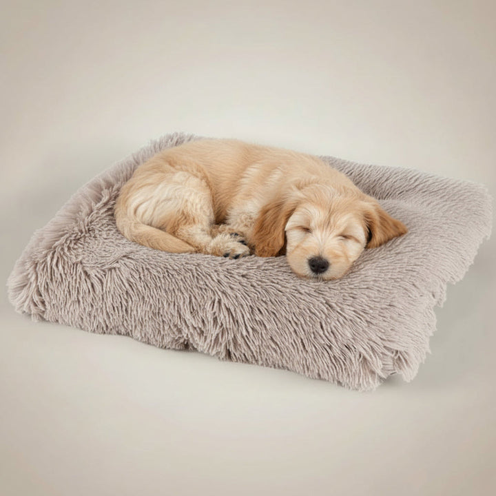 Multi-angle view of a durable washable plush dog mat, perfect comfortable pet resting cushion