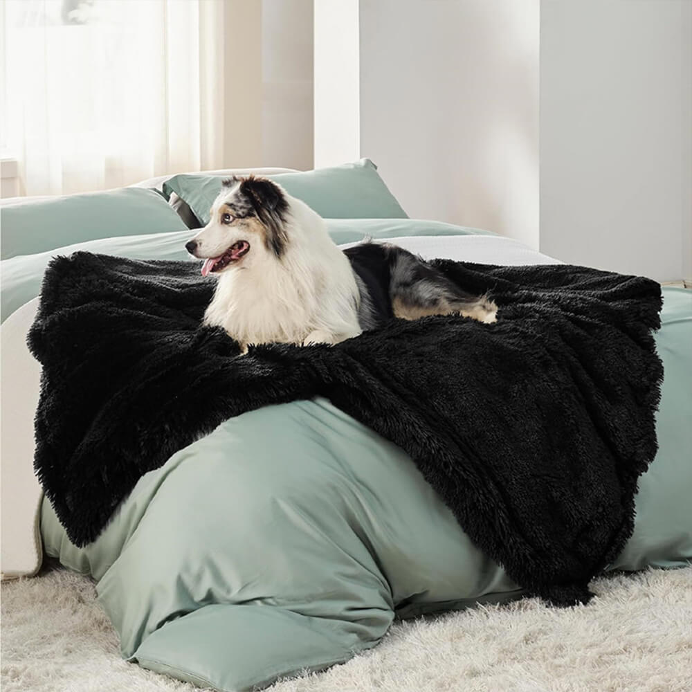 Dog blanket, waterproof, gray, folded as a furniture protector on a stylish sofa
