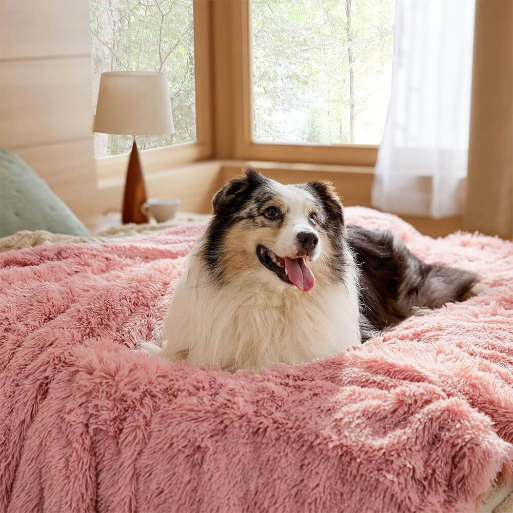 Beige waterproof pet blanket covering a section of a couch, acting as furniture protector
