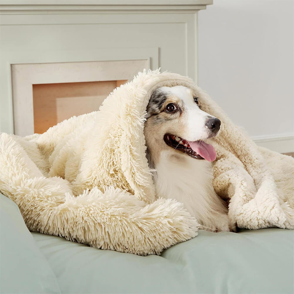 Waterproof dog blanket, brown, neatly folded on a chair, ready for pet use or home decor