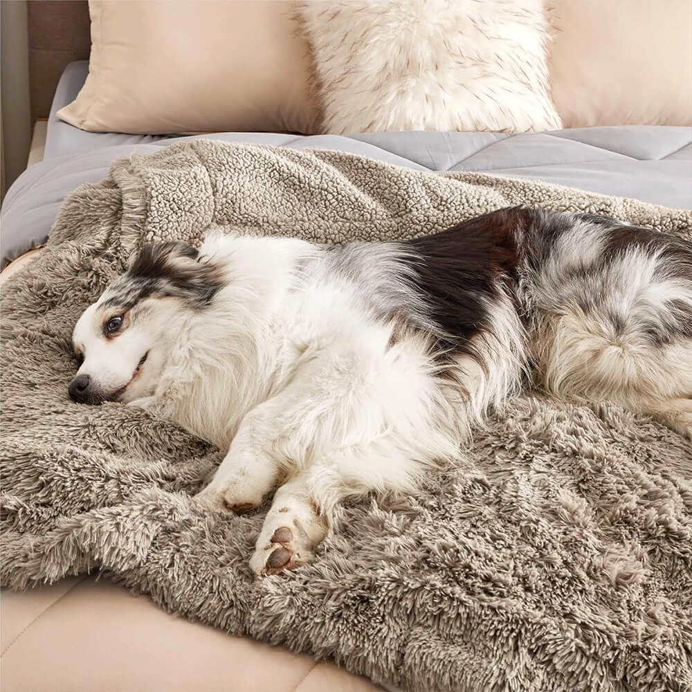 Black waterproof pet blanket laid flat, showcasing its size and plush material, a dog bed cover