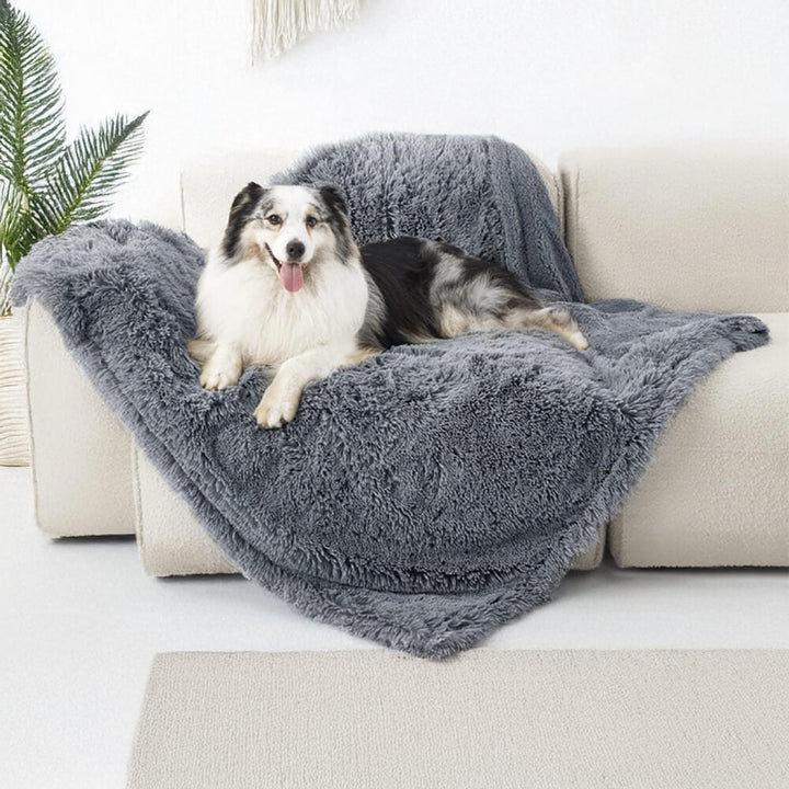 Multi-purpose pet blanket, waterproof and soft, keeping a car seat clean from dog hair