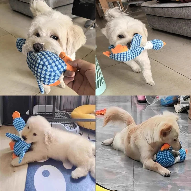 Unisex soft duck dog toy with squeaker, perfect for all breeds' dental health