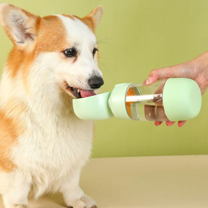 Leak-proof portable dog water bottle and pet feeder combo, essential dog accessory for walks and adventures.