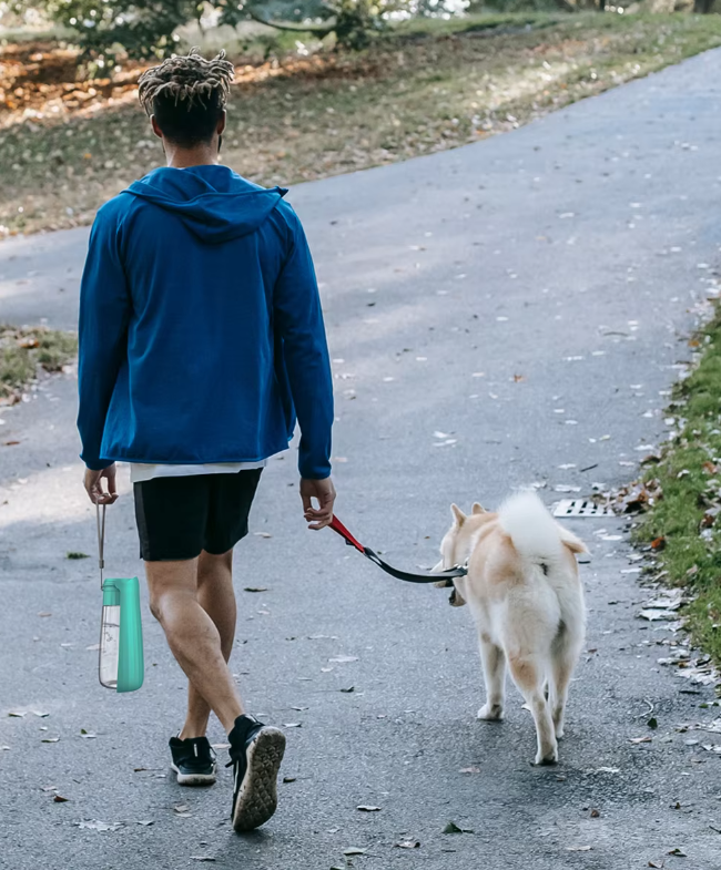 Essential dog accessory: 550ml portable water bottle with drinking bowl for pet hydration.