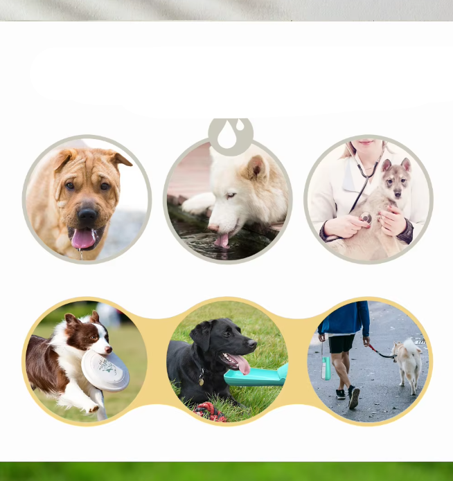 Leak-proof travel dog bowl & water bottle, 550ml capacity for outdoor pet gear and accessories.