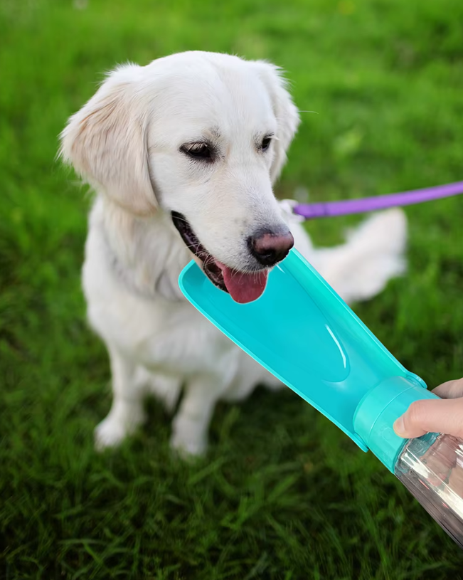 Blue portable dog water bottle with attached drinking bowl, 550ml, essential for pet hydration.