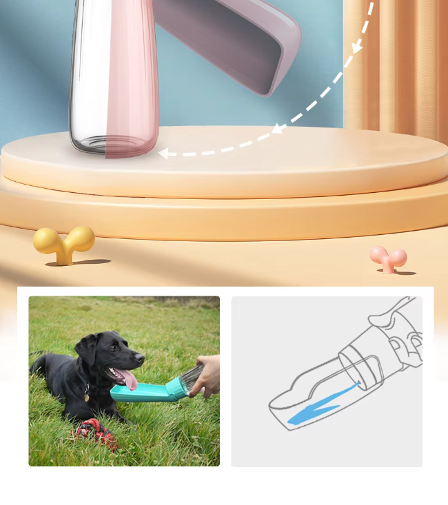 Convenient 550ml portable pet water bottle & bowl, designed for walks and outdoor dog hydration.
