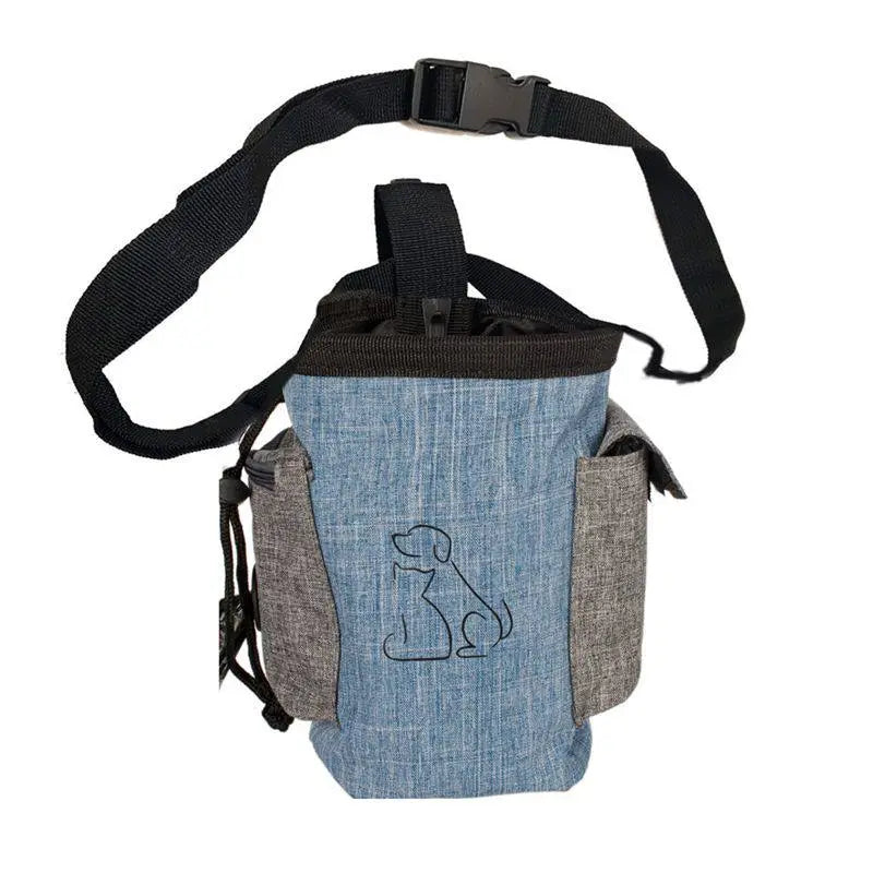 Dog owner attaching a stylish dog waste bag dispenser to a leash, ready for a walk.