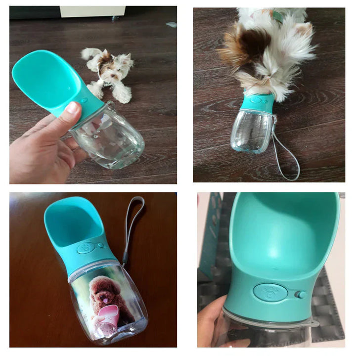 BPA-free portable dog water bottle, ideal for walks and outdoor dog adventures