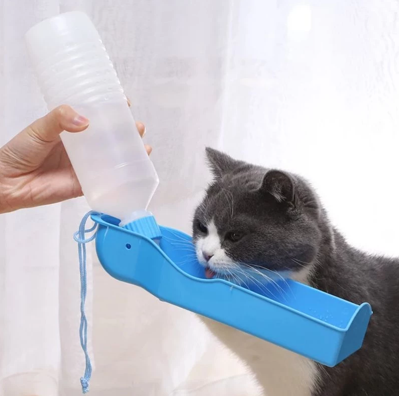 Portable dog water bottle with integrated bowl, blue, for travel and outdoor hydration on the go