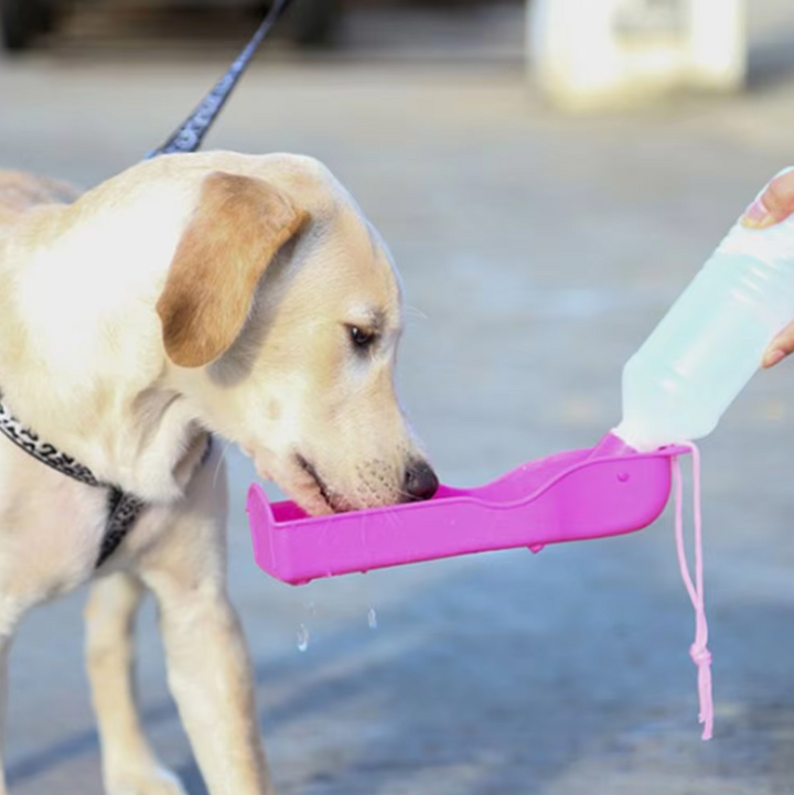 Dog travel water dispenser with built-in drinking bowl, essential pet supplies for active dogs