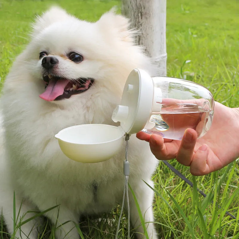 Portable dog water bottle with integrated spout, ideal for pet hydration on the go