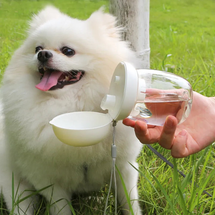 Portable dog water bottle with integrated spout, ideal for pet hydration on the go