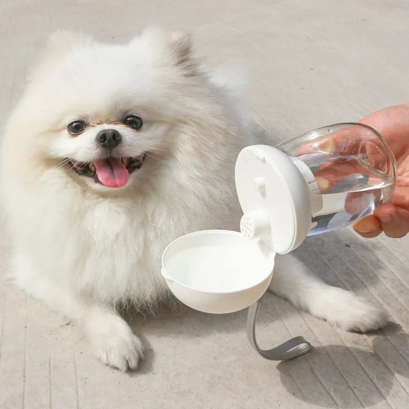 Dog travel water bottle showing the drinking spout extended, ensuring spill-proof hydration