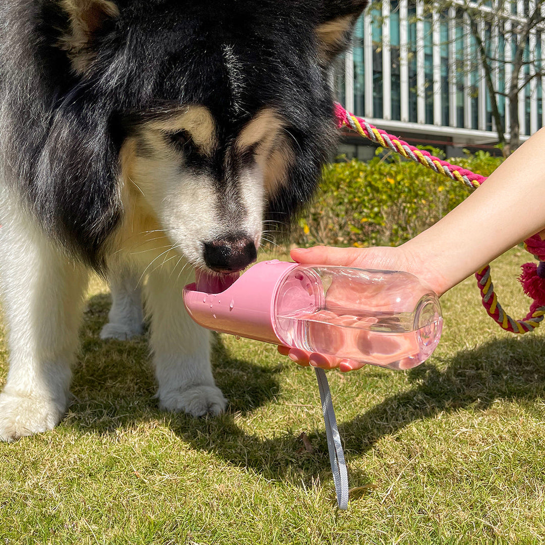 Portable outdoor dog water bottle with dispenser for pet hydration on the go