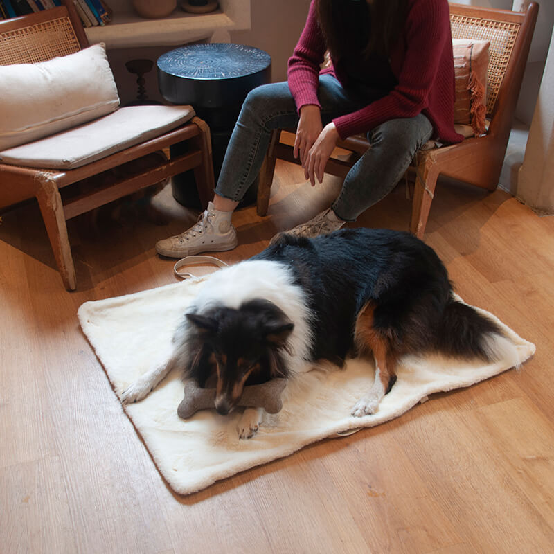 Insulated pet travel mat, portable dog bed for camping, outdoor excursions and crate use.