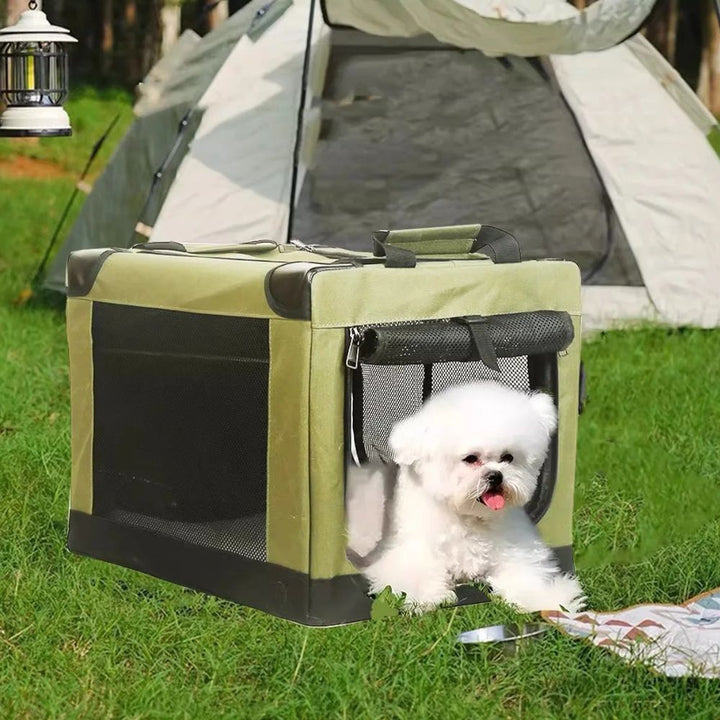 Collapsible pet carrier with breathable mesh window, perfect for small dog or cat travel.