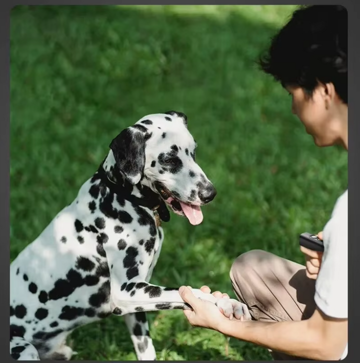 Portable ultrasonic dog trainer with remote, black, for pet behavior correction and outdoor safety.