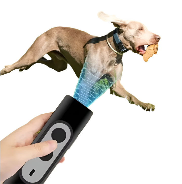 Handheld ultrasonic dog trainer with remote for convenient outdoor pet training and deterrence.