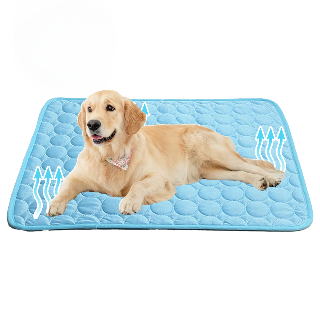 Portable gel dog cooling mat, ideal pet bed for summer and heat relief, enhancing pet comfort.