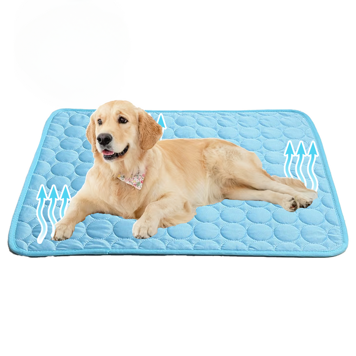 Portable gel dog cooling mat, ideal pet bed for summer and heat relief, enhancing pet comfort.