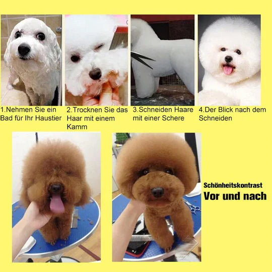 Variety of dog grooming scissors for different coat types, ensuring pet health.