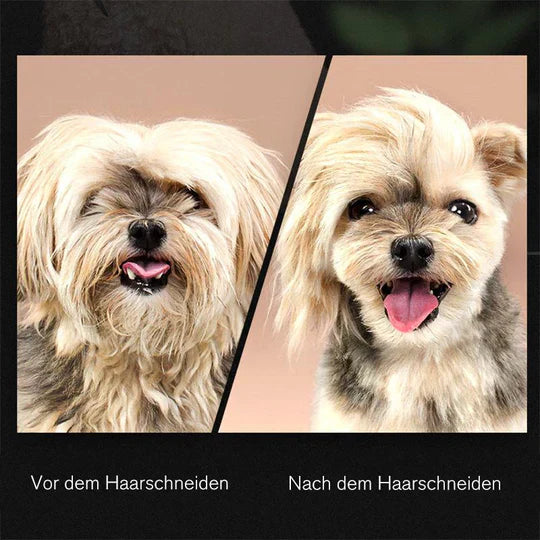 Grooming scissors for dogs, a key tool in any pet care and hair trimming kit.