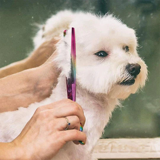 Professional pet grooming scissors and comb, essential dog accessories for trimming.