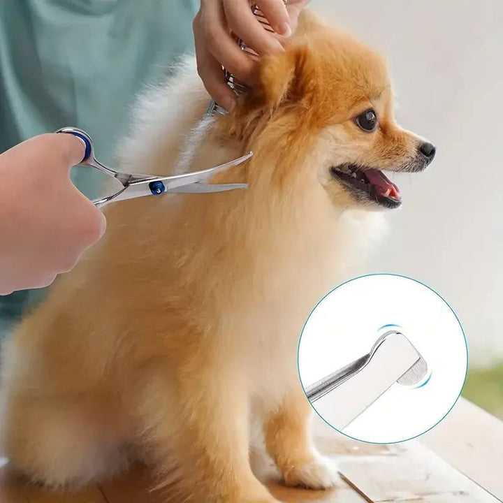 Detailed view of the rounded tip on pet grooming shears, emphasizing safety for animal use