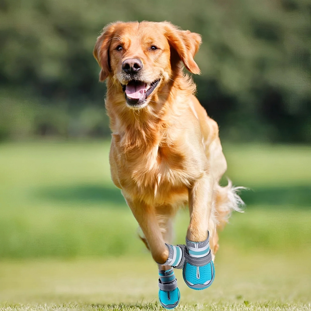 Protective non-slip dog boots for outdoor adventures, black with reflective straps, on a trail.
