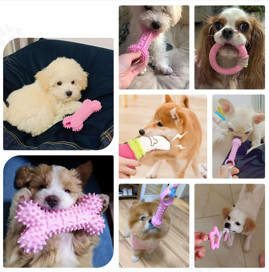 Plush and rope puppy chew toys designed for dental health, suitable for all puppies.