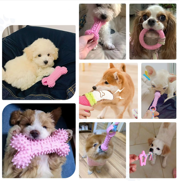 Plush and rope puppy chew toys designed for dental health, suitable for all puppies.