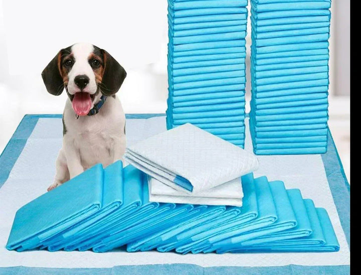 Leak-proof dog training pad with quilted surface, ideal for puppy house training and pet hygiene.