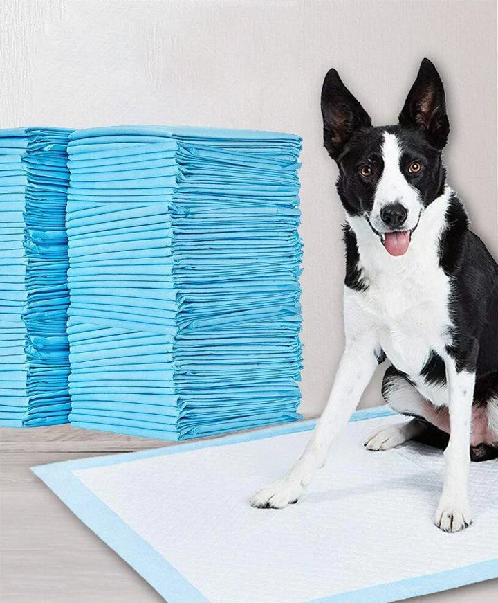 Ultra-absorbent pet hygiene pad for dogs & puppies, a dependable solution for house training.